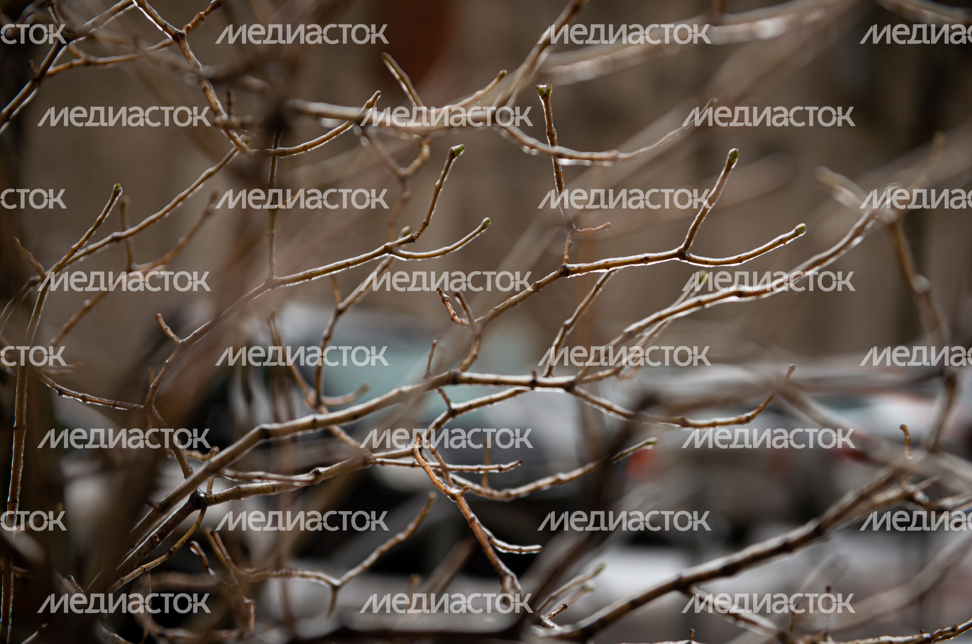 Последствия ледяного дождя в Москве