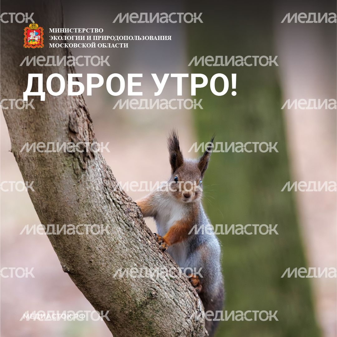 Доброе утро квадрат 07