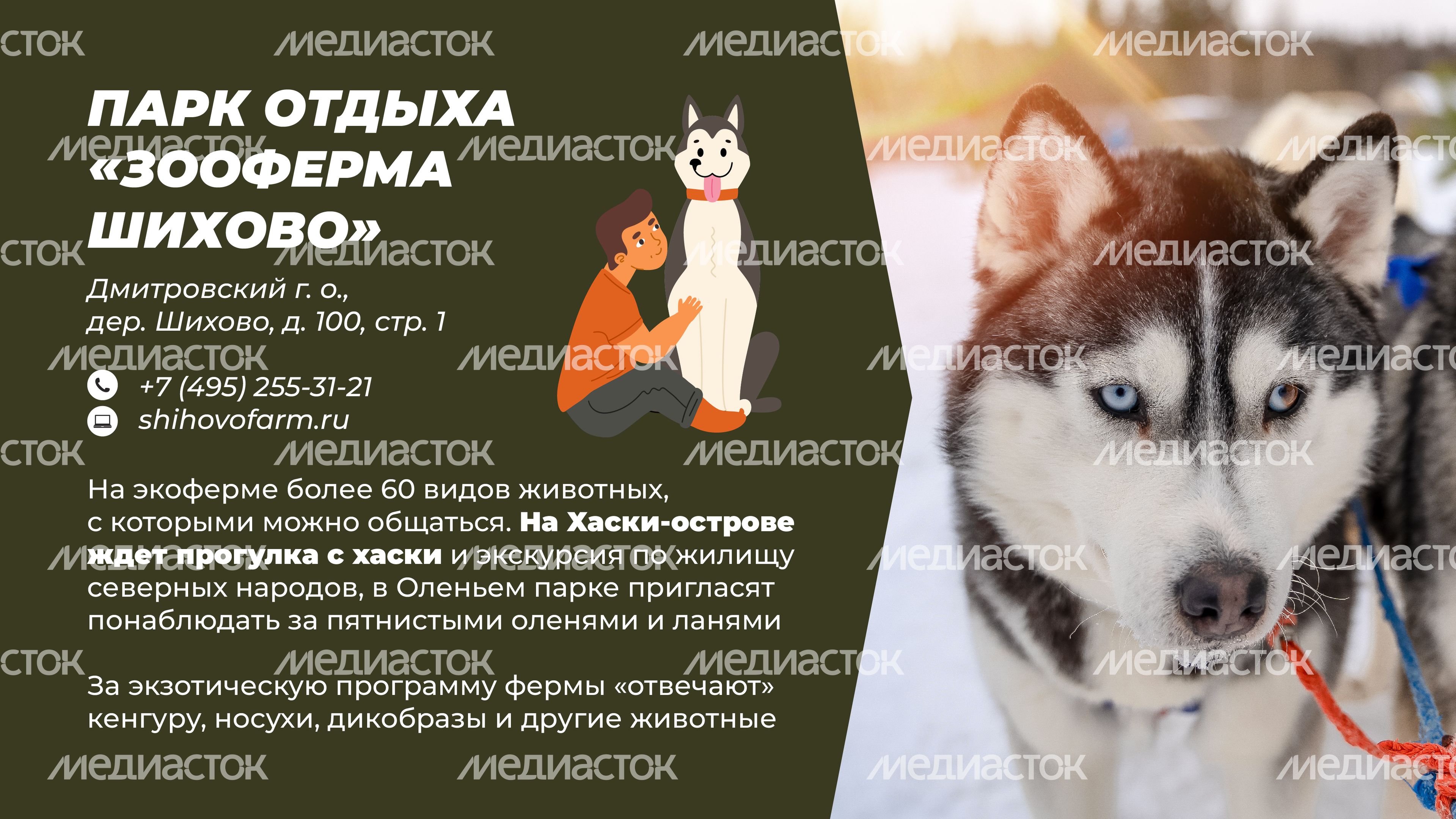 Фермы с животными-18.jpg