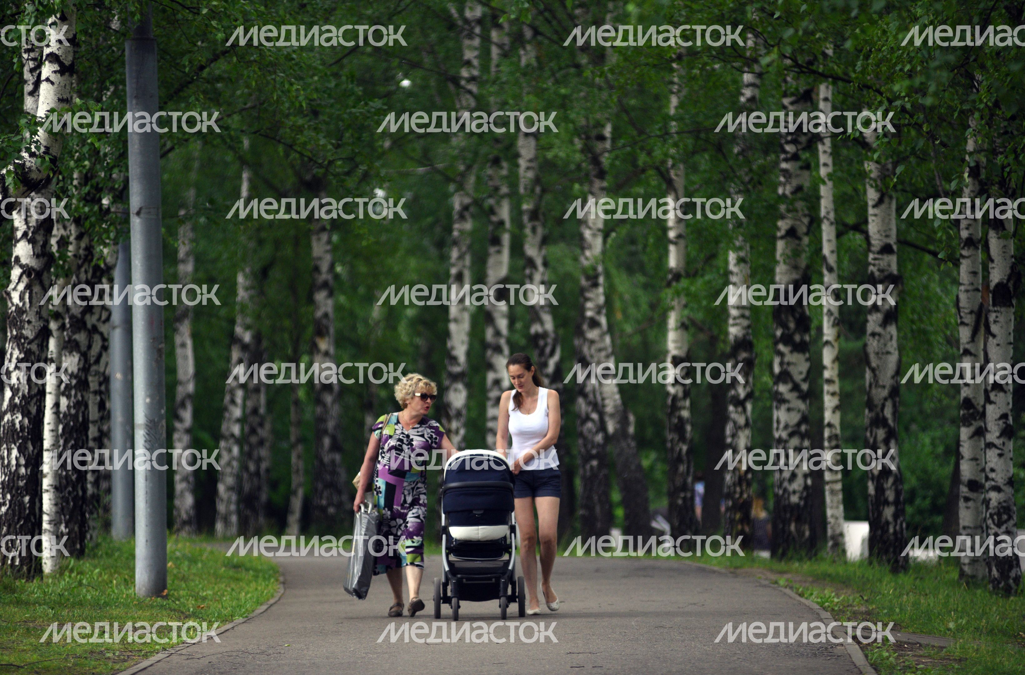 Парк 50-летия Октября в Москве