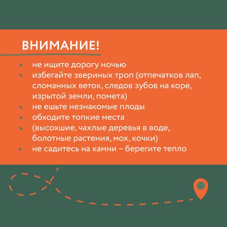 Как не потеряться в лесу
