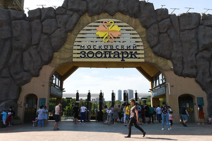 Новый этап снятия ограничений из-за коронавируса в Москве