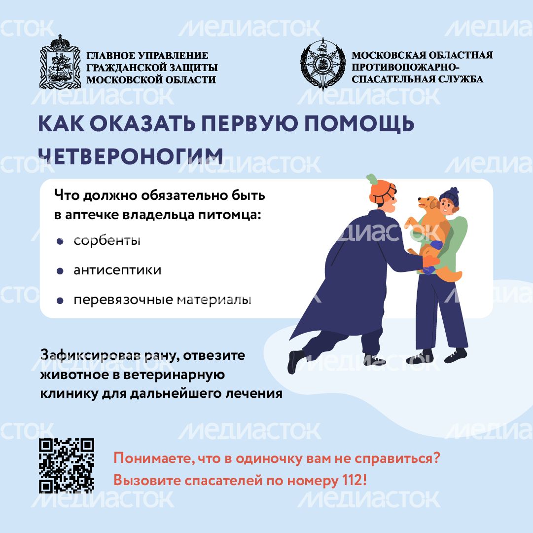 Помощь усатым - квадрат-08