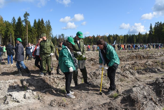Ежегодная экологическая акция «Наш лес. Посади свое дерево» в Одинцовском городском округе