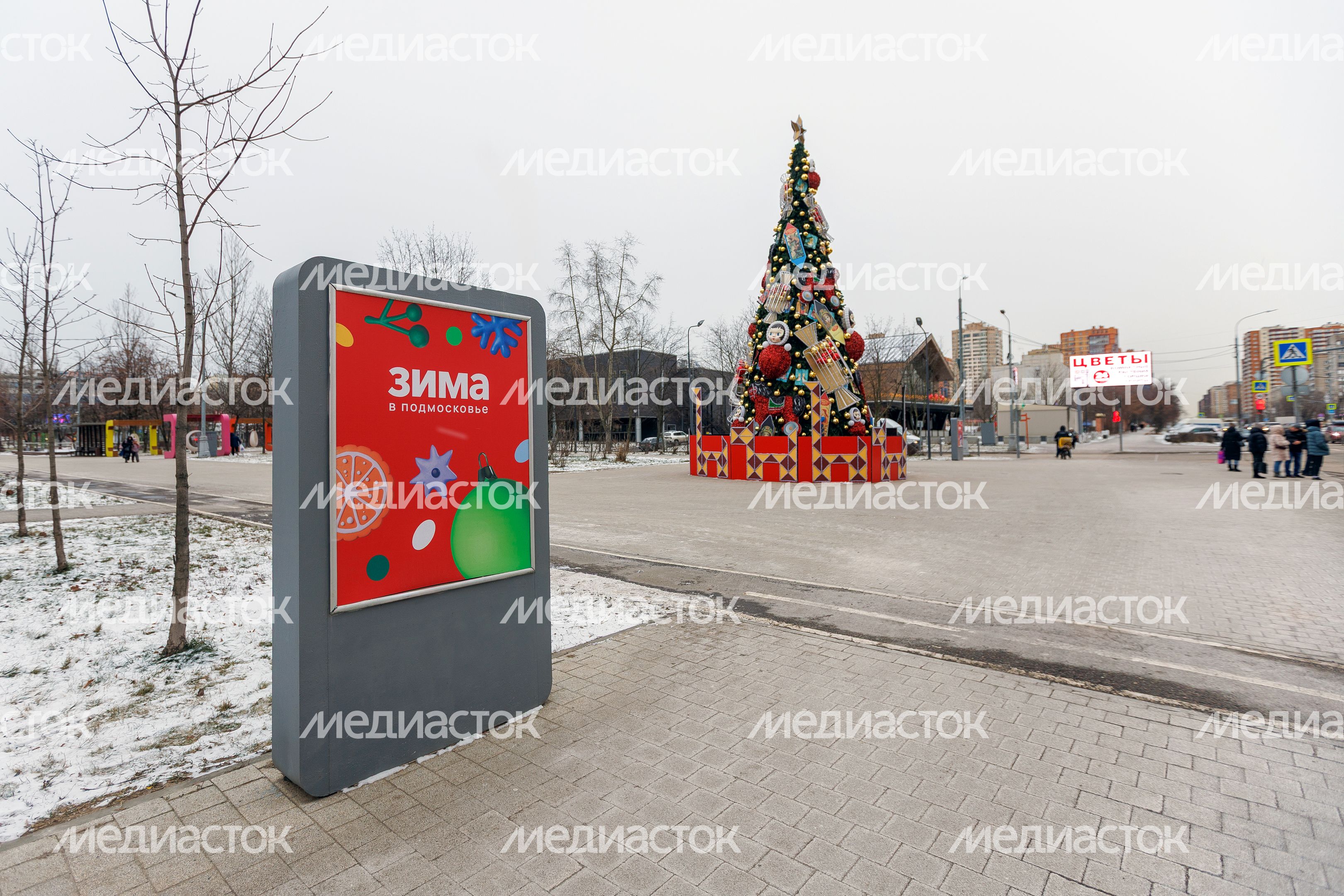 Александровский сквер в Реутове зимой Александровский сквер в Реутове зимой