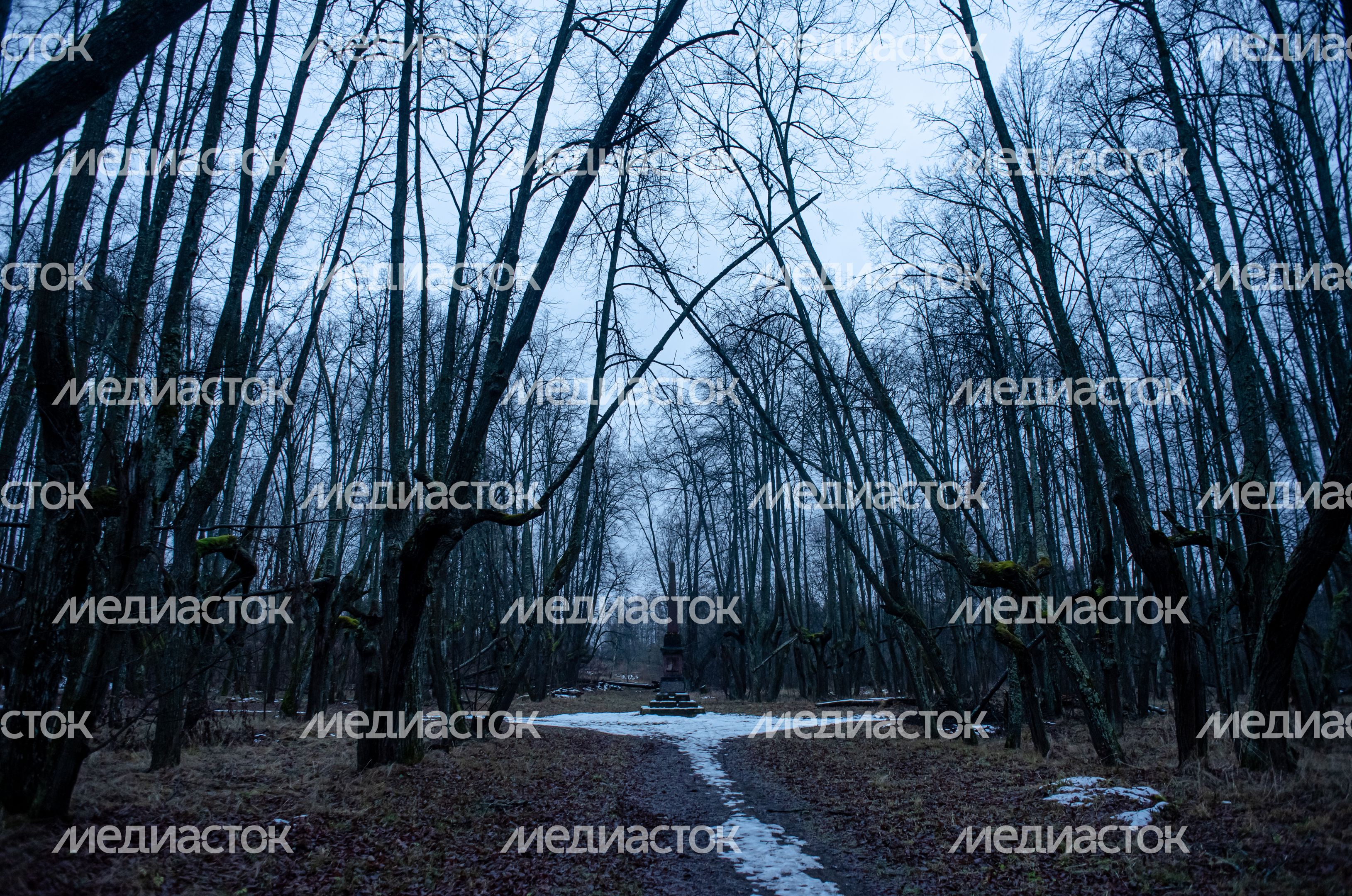 Осенняя прогулка по историческим местам села Ярополец