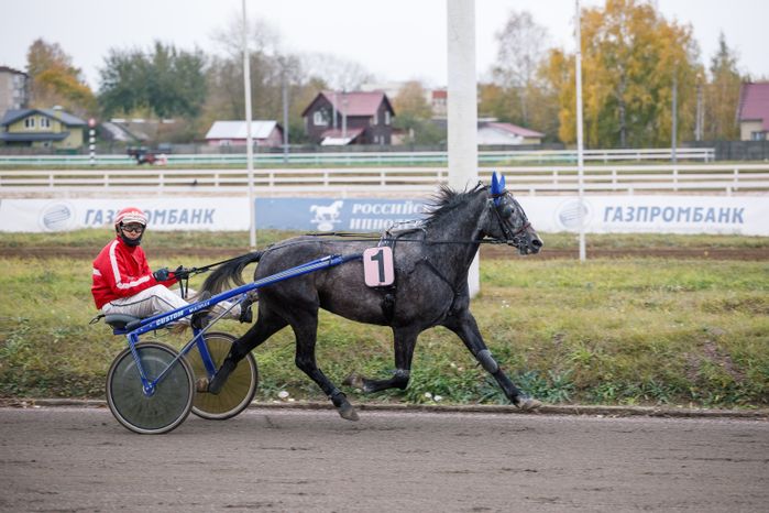Раменское. Финал Чемпионата наездников