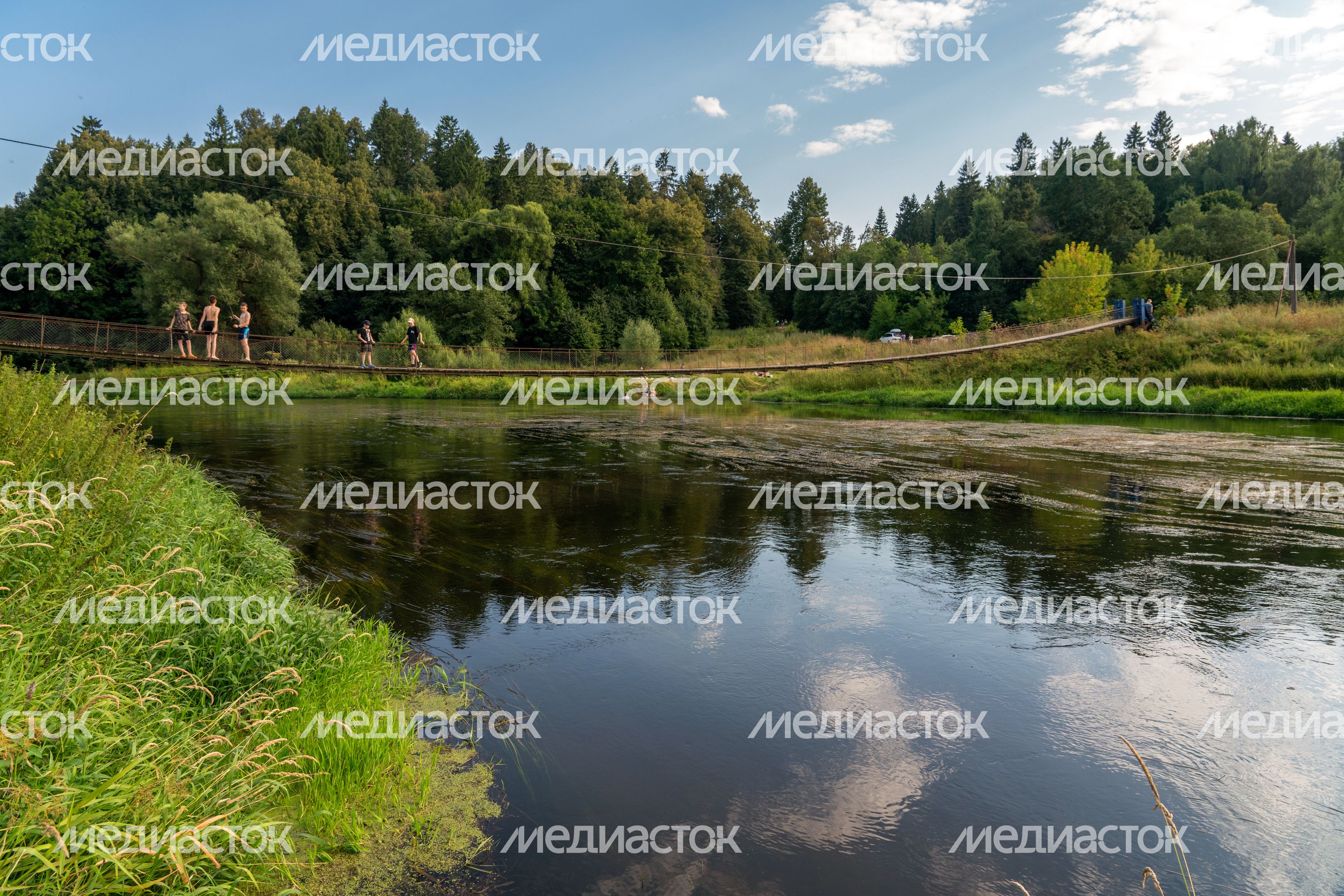 Хаски-деревня "Рузская Аляска". Лето