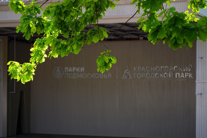 Зеленый театр в Красногорском городском парке после благоустройства