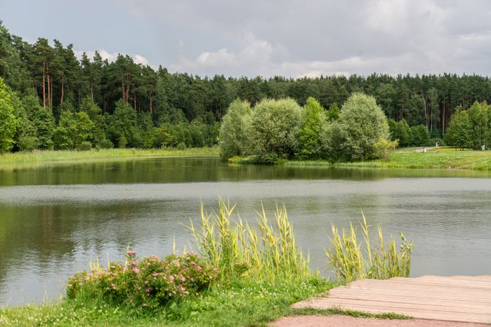 Мещерский парк летом