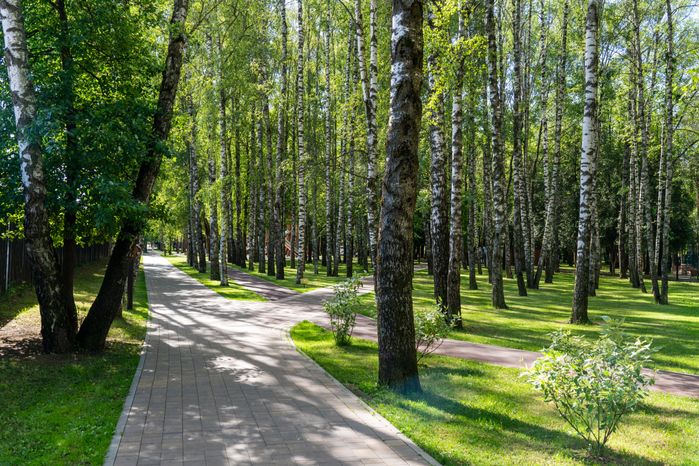 Парк «Гучково» в Дедовске округа Истра летом