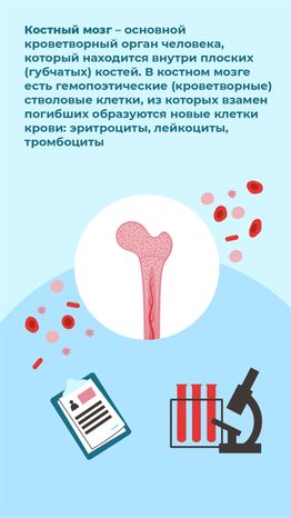 вертикаль-как-стать-донором--03.png