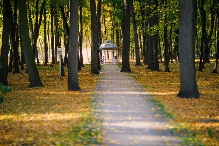 Воскресенск. Парк усадьбы Кривякино