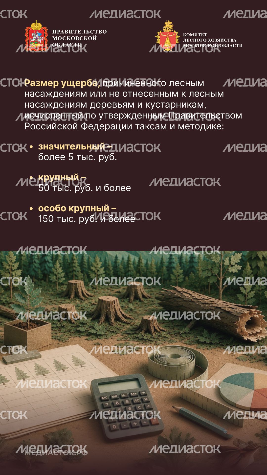 Незаконная рубка вертикаль 07