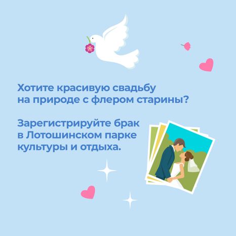 загс_выездные площадки_Лотошинский парк
