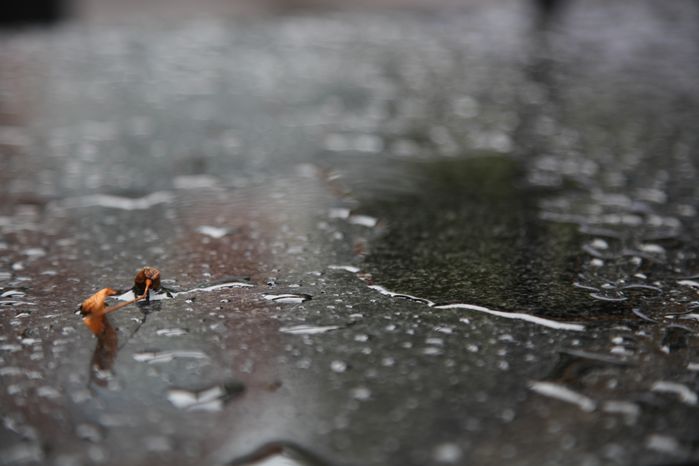 Капли воды после дождя