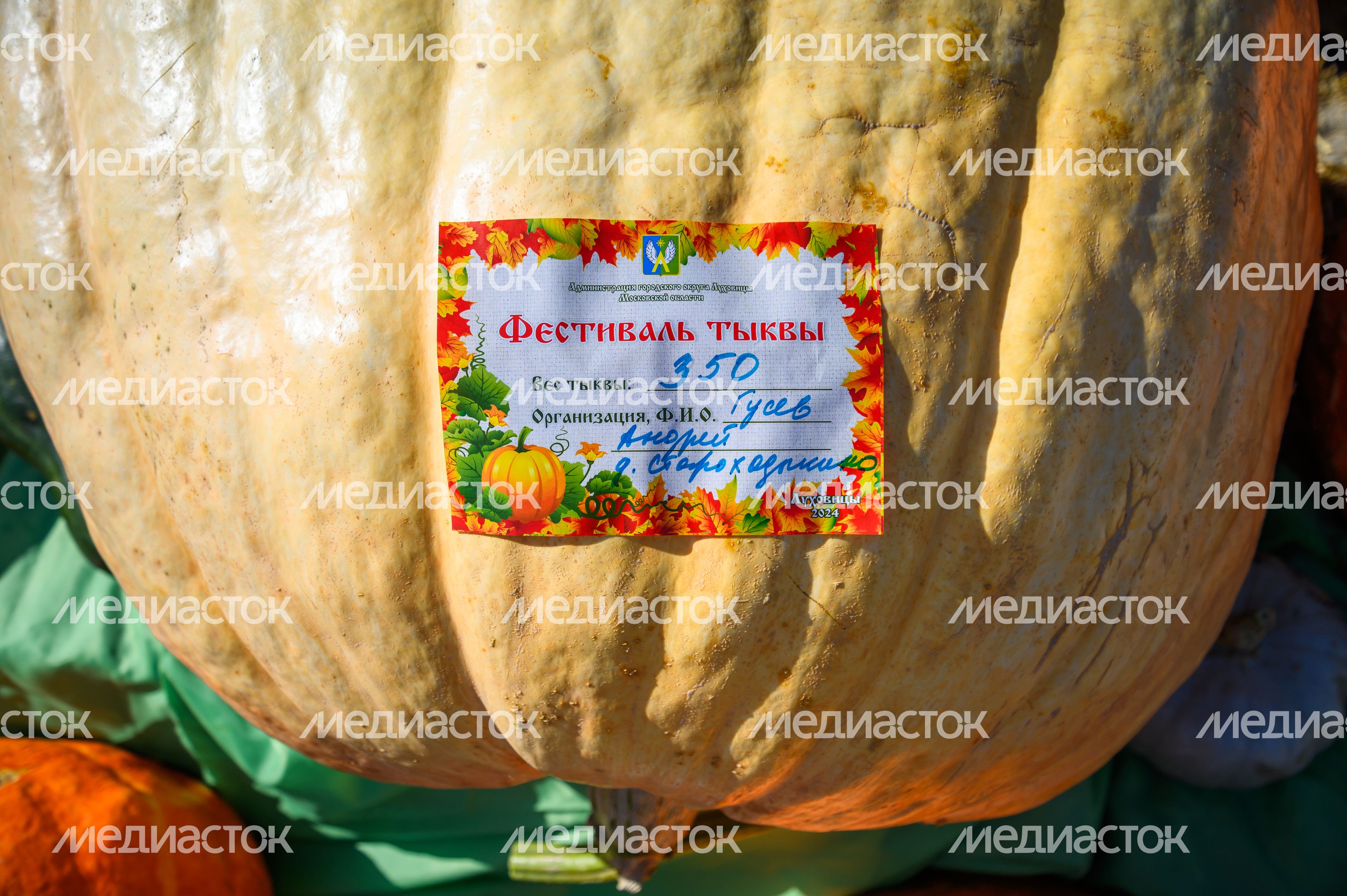 Выставка-ярмарка «Дары Подмосковья» в Луховицах Выставка-ярмарка «Дары Подмосковья» в Луховицах