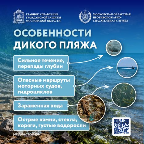 Особенности диких пляжей 2026 Квадрат 01