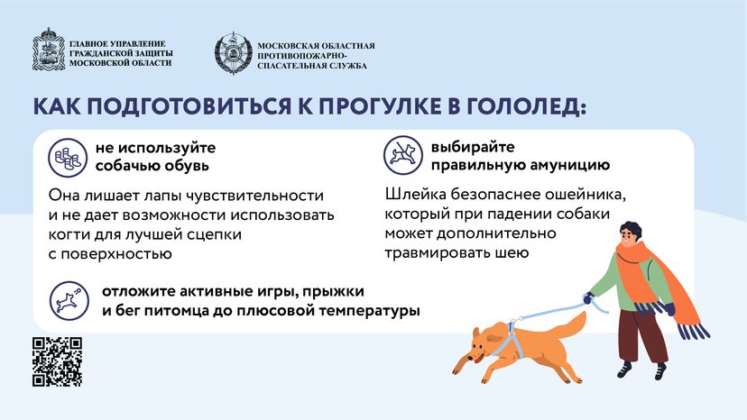 помощь усатым - горизонталь - 04