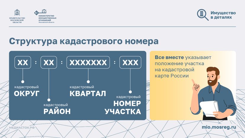 Что такое кадастровый номер участка горизонталь 03
