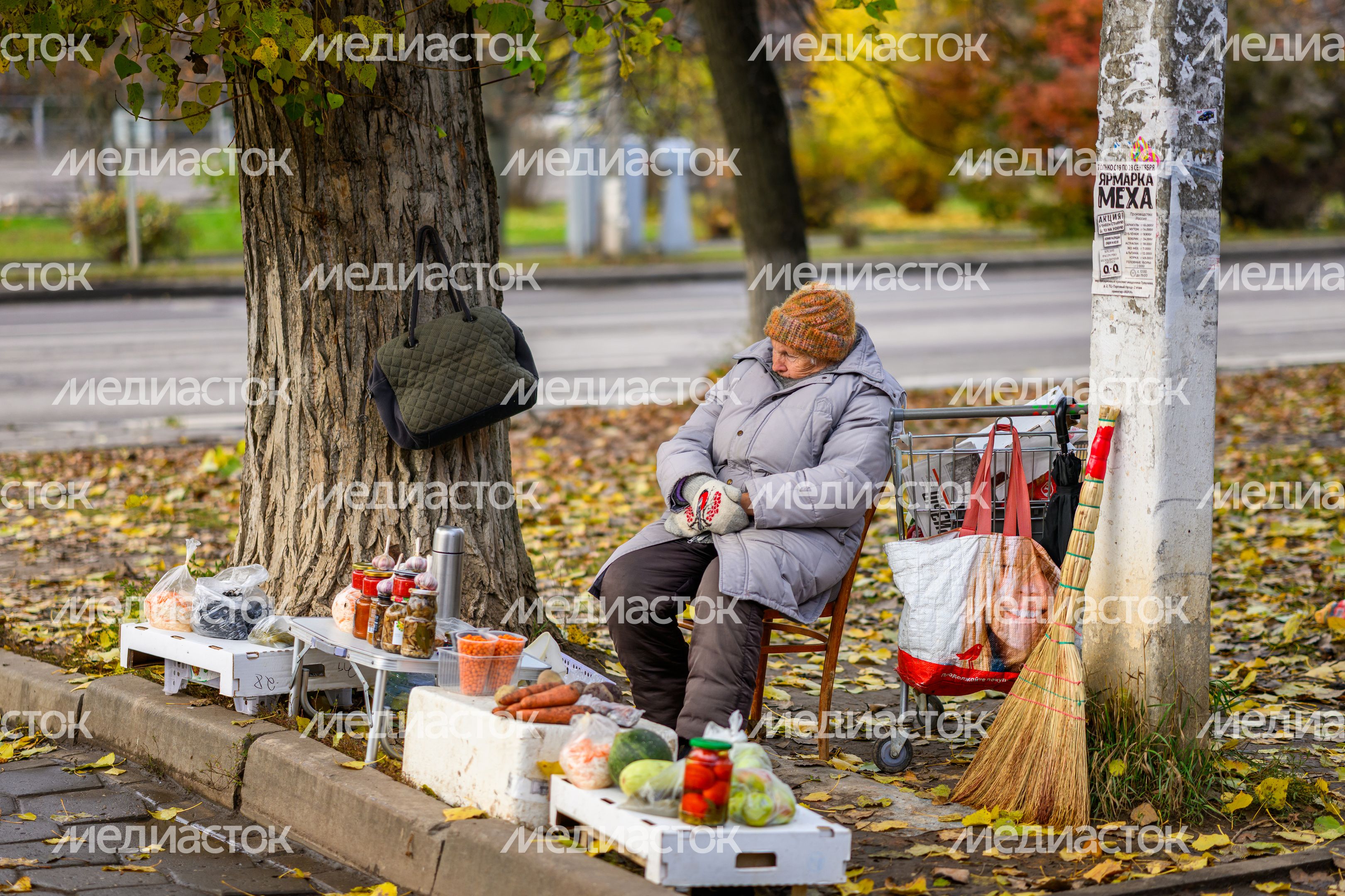 Уличная торговля в микрорайоне Авиационный в Домодедово осенью Уличная торговля в микрорайоне Авиационный в Домодедово осенью
