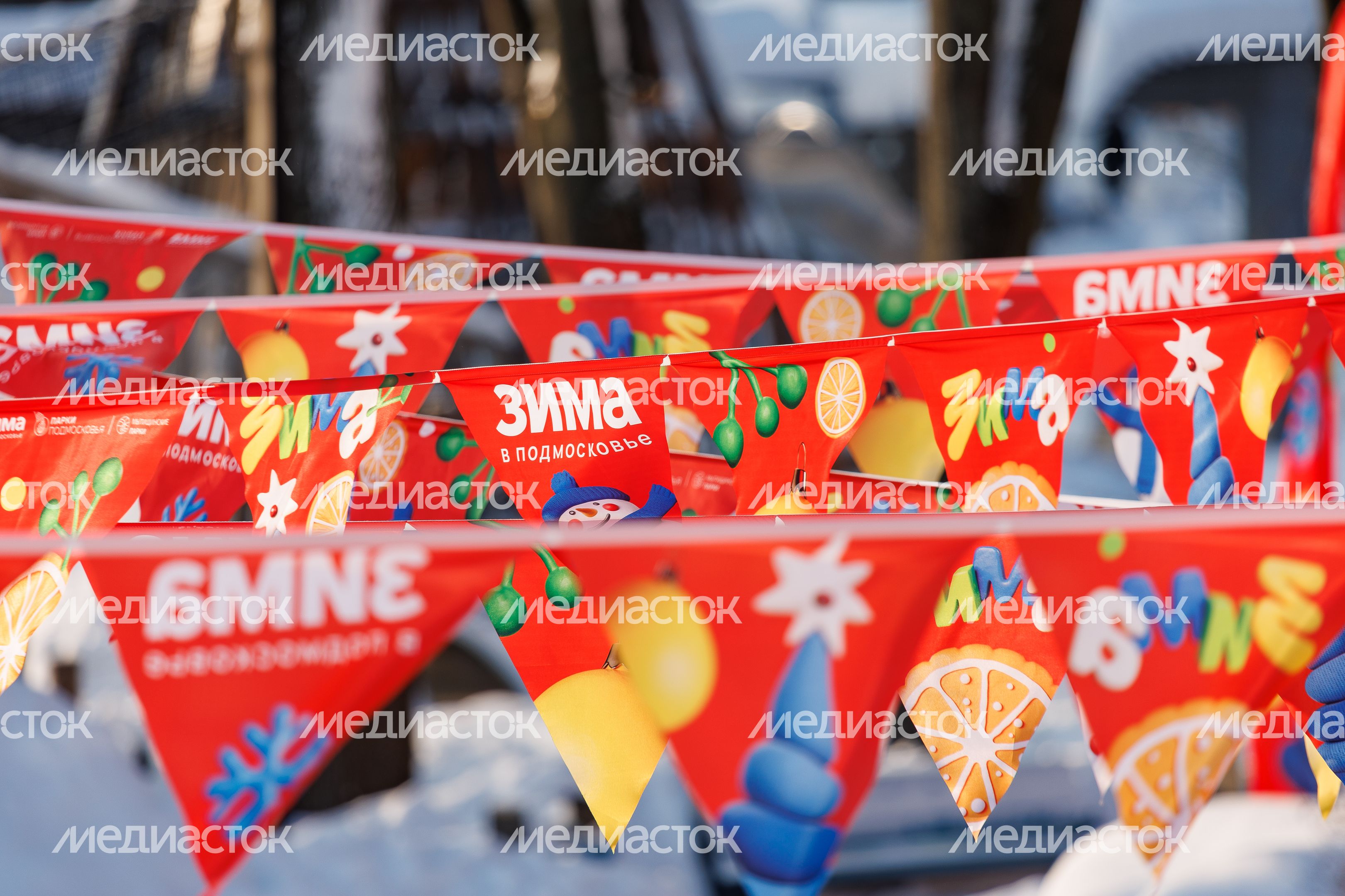 Зима в Центральном парке культуры и отдыха «Парк Мира» в Мытищах Зима в Центральном парке культуры и отдыха «Парк Мира» в Мытищах