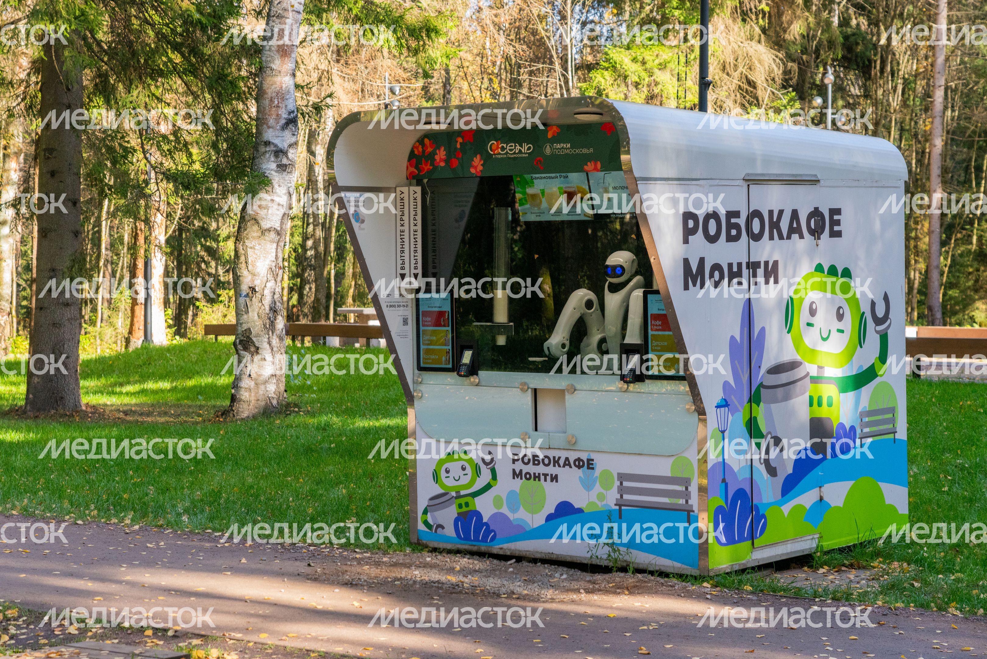 Робокафе в лесопарке «Соколиная гора» осенью в Истре