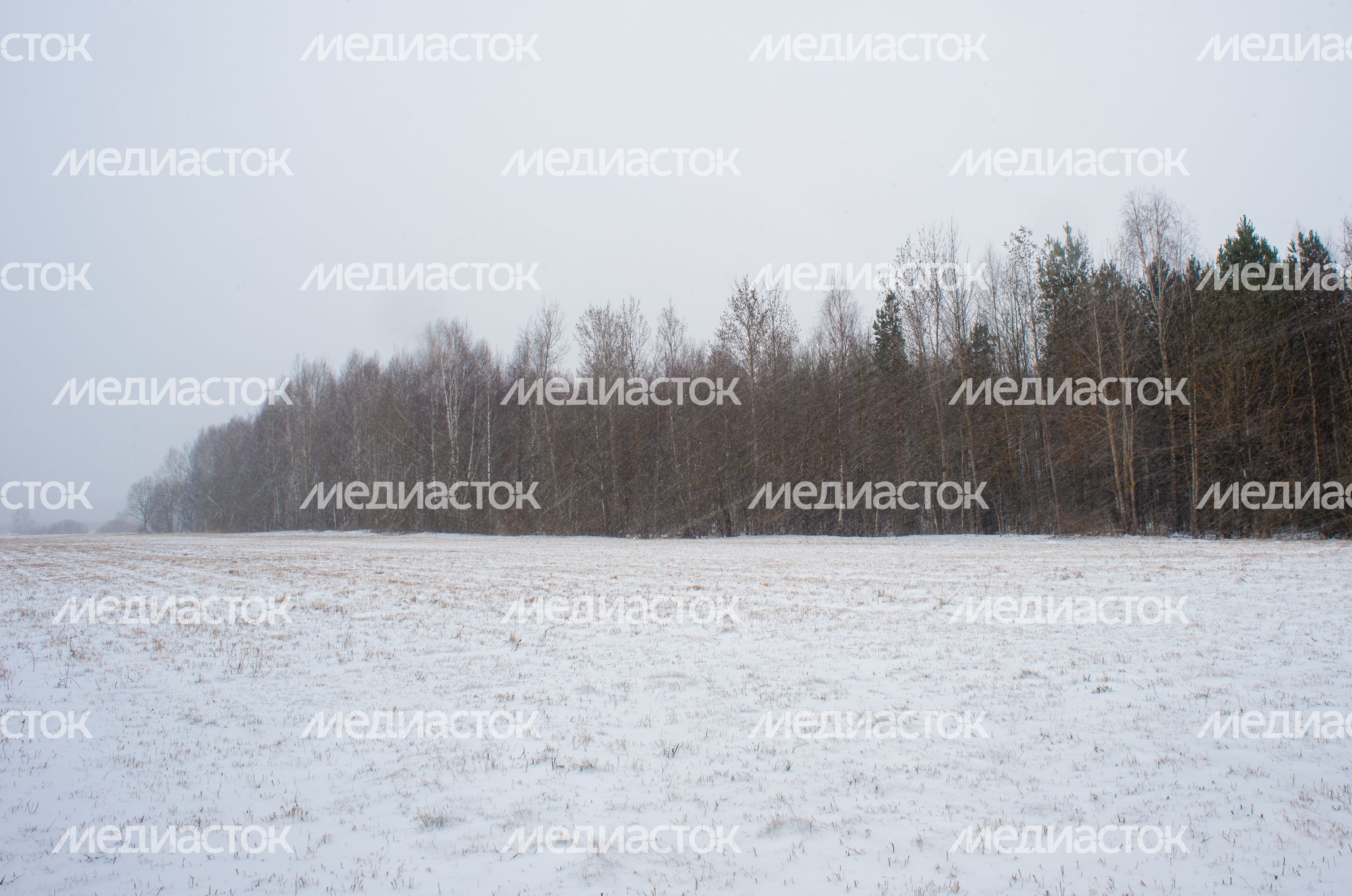 Зимние виды аномальной зоны в Щёлково