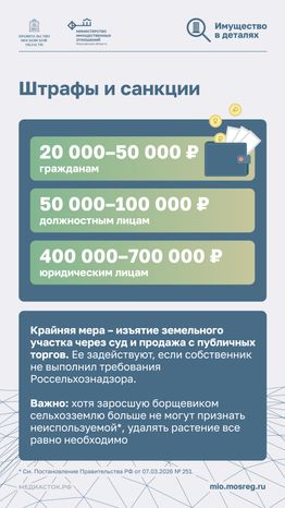 Борьба с борщевиком вертикаль 03