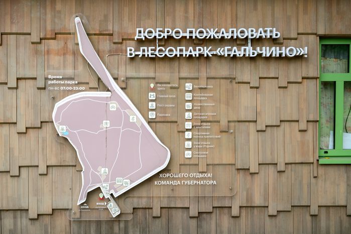 Лето в лесопарке «Гальчино» в Домодедово