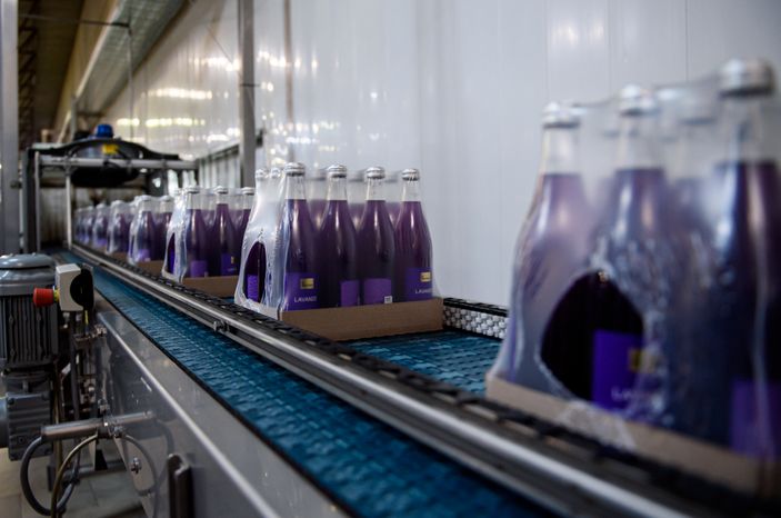 Аналог Сoca‑Cola начали производить в Подмосковье