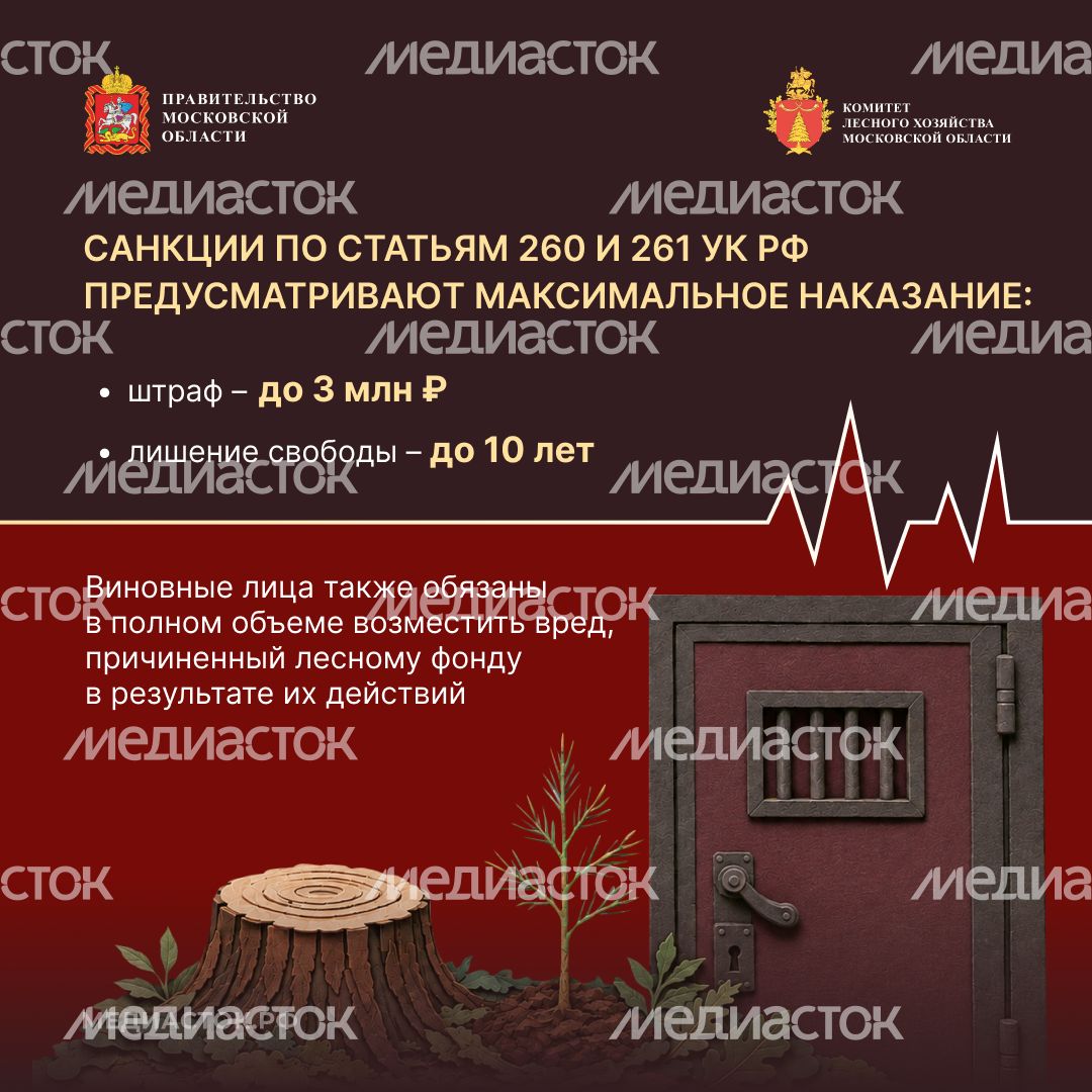 Самовольный захват и использование лесных участков квадрат 07