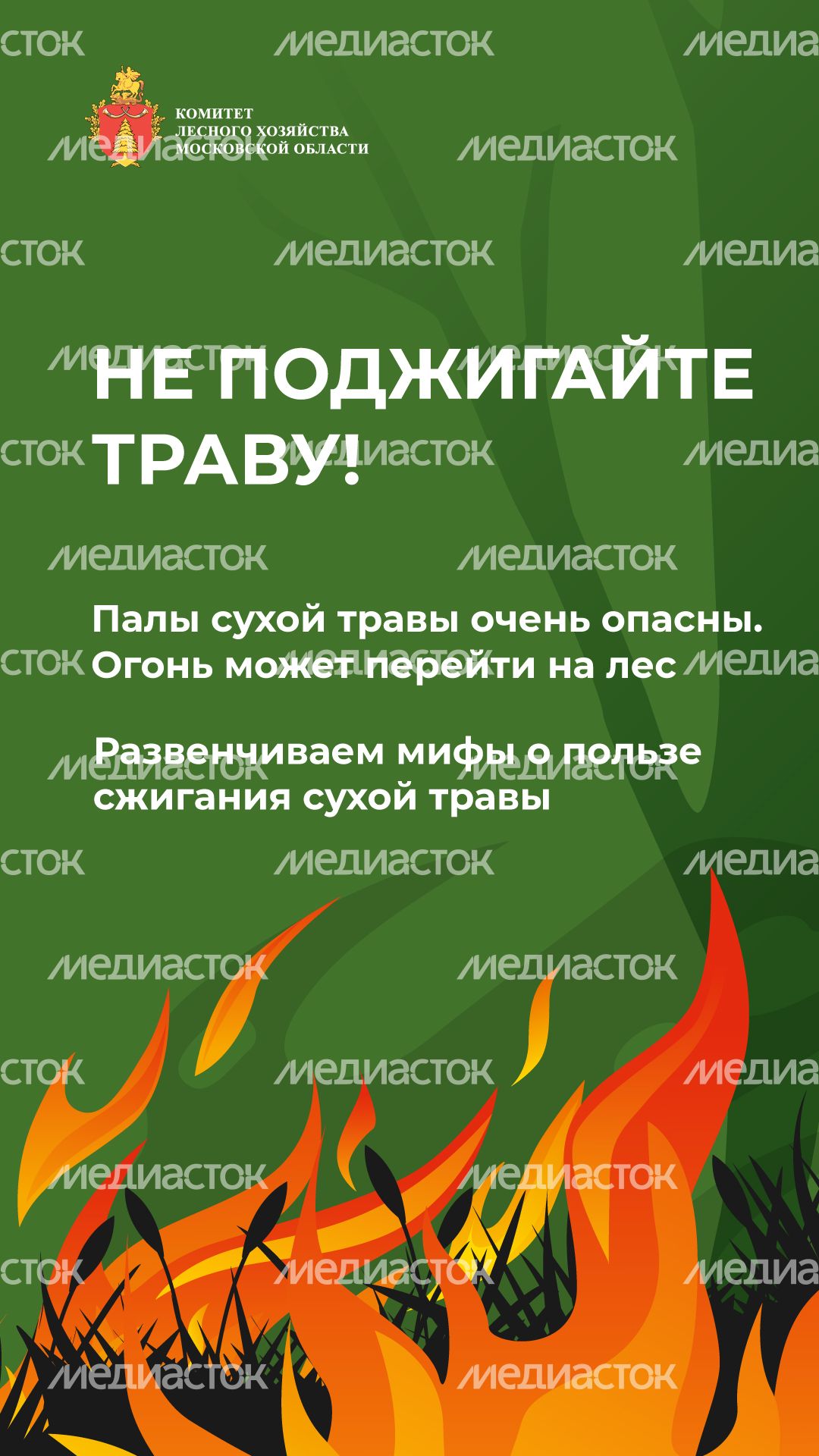 комлесхоз_пал_верт_1.jpg