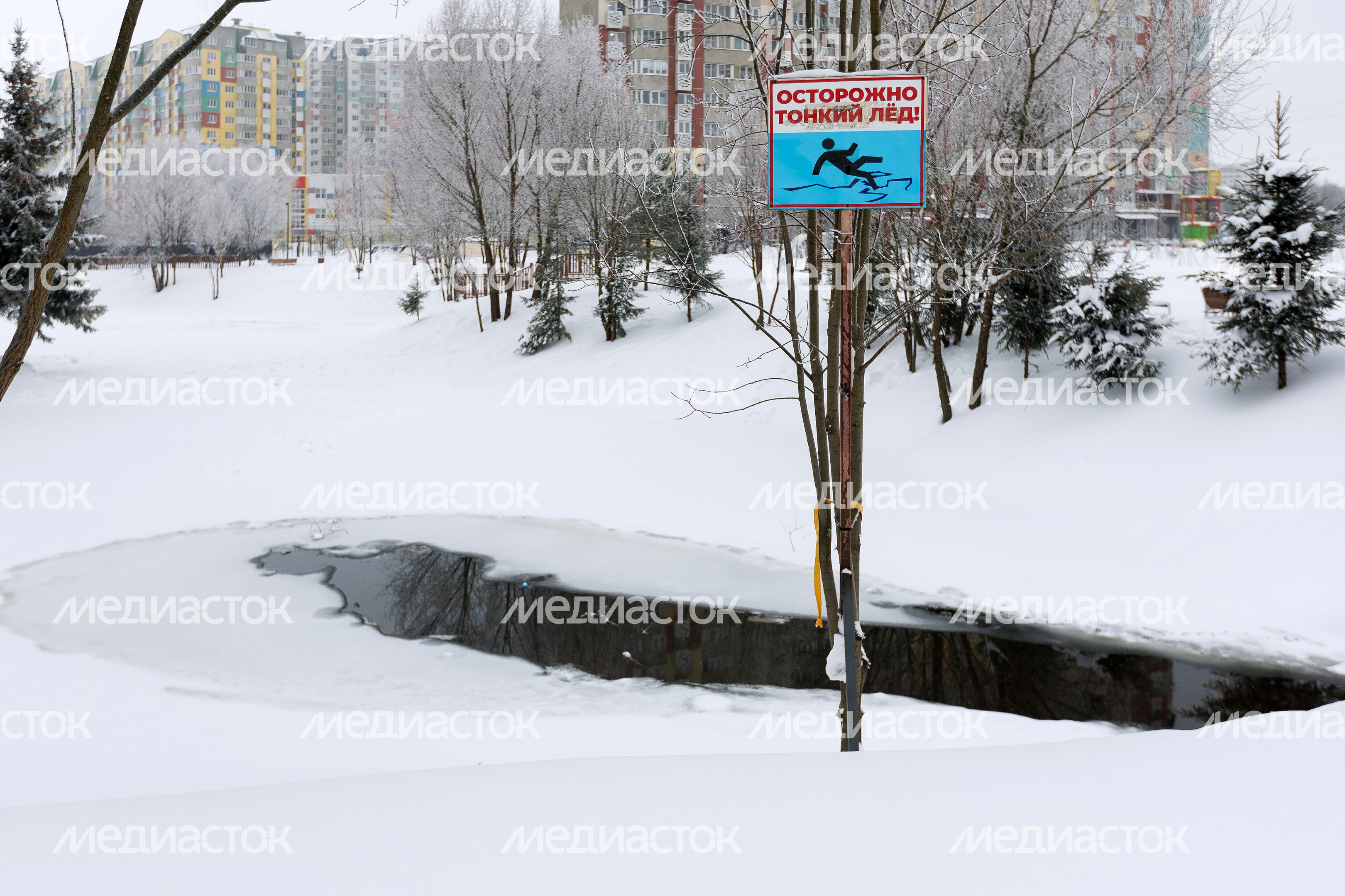 Зима в сквере Защитников Москвы в Лобне Зима в сквере Защитников Москвы в Лобне
