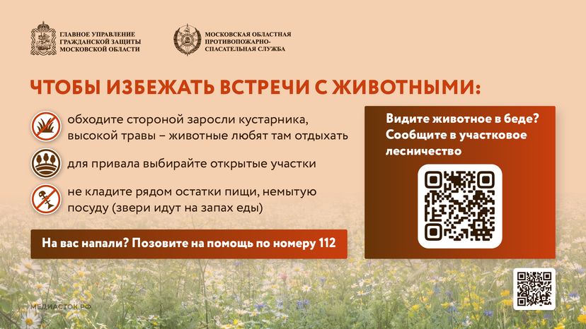 Что делать при встрече с диким животным горизонталь 06