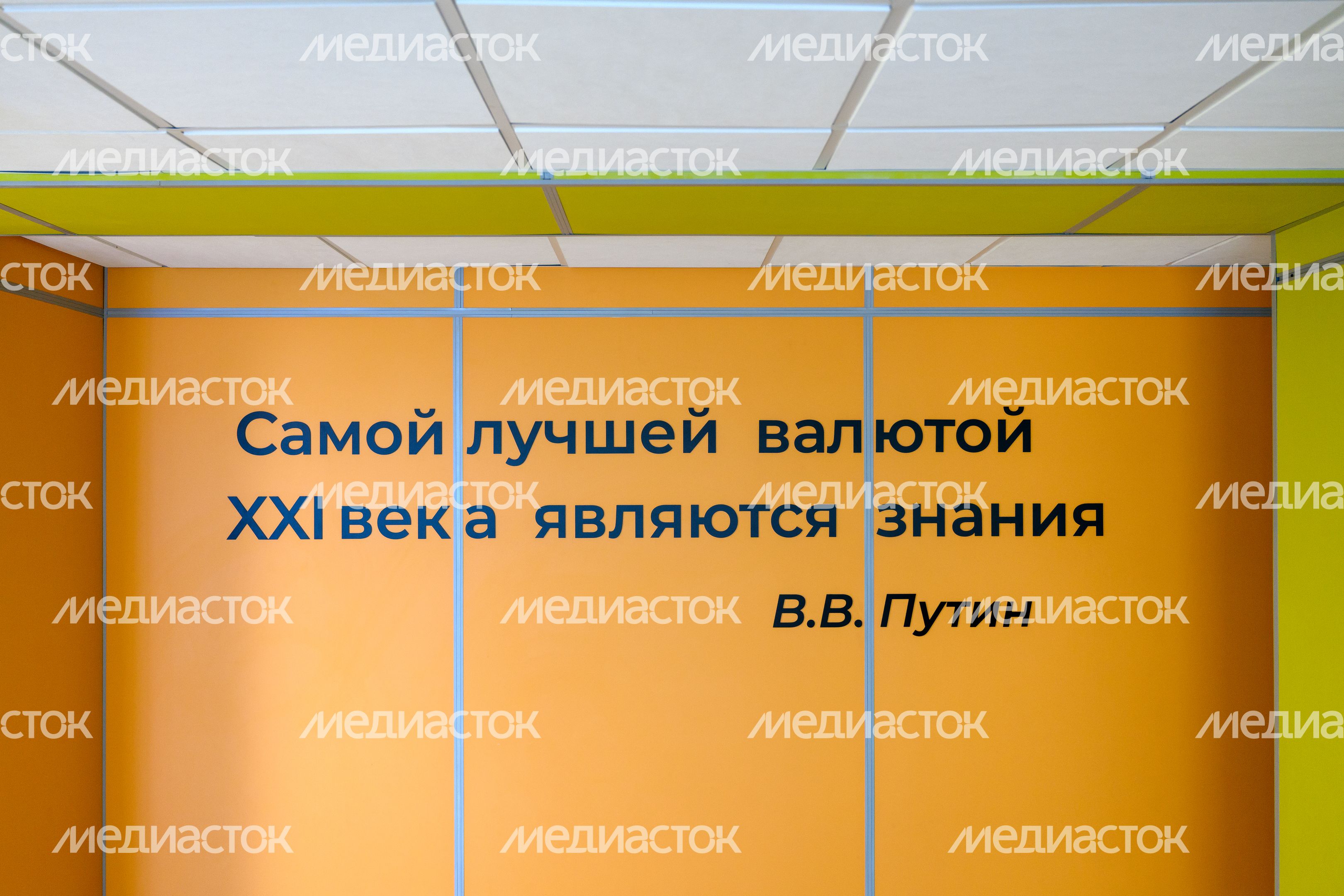 Цитата В.В, Путина в коридоре Домодедовского лицея №3 после капитального ремонта Цитата В.В, Путина в коридоре Домодедовского лицея №3 после капитального ремонта