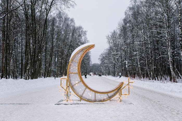 Аллея в парке «Авангард» Электростали зимой