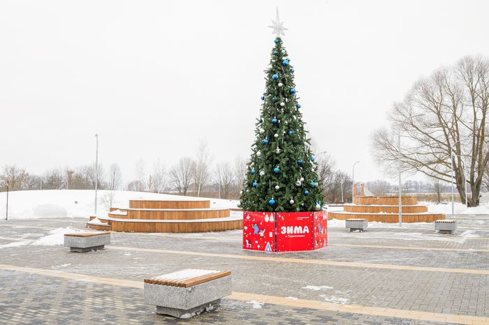 Бронницы. Парк «Бронницкий луг». Зима