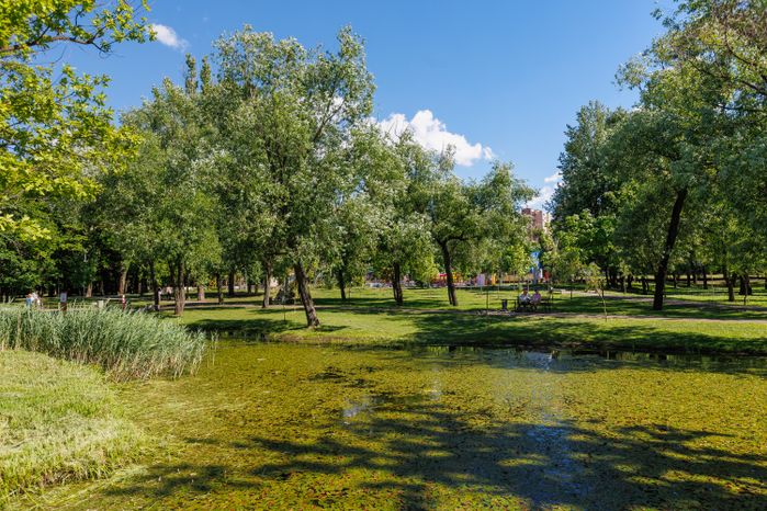 Лето в парке «Фабричный пруд» в Реутове