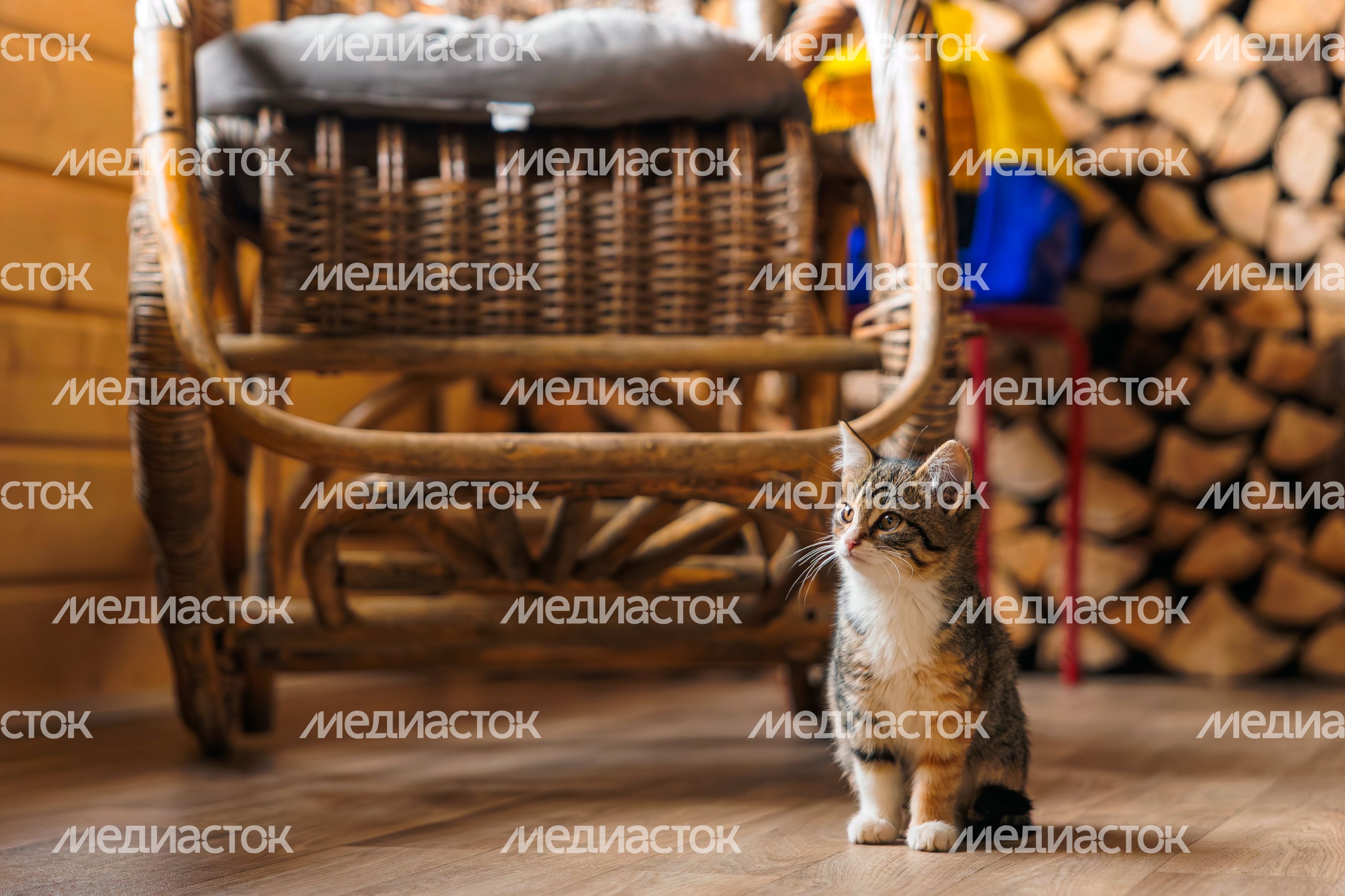 Котенок сидит у соломенного кресла-качалки