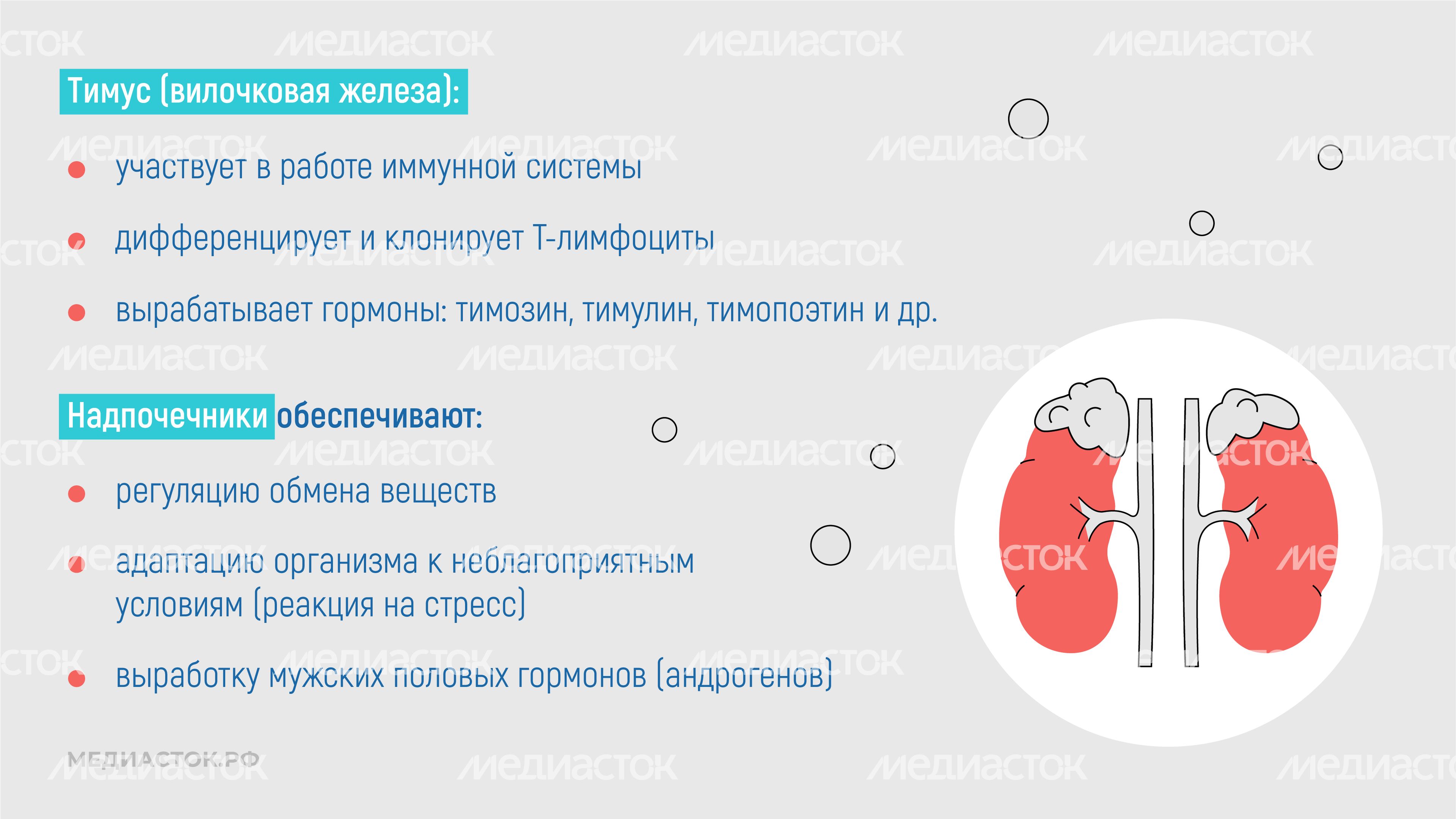 Эндокринные заболевания у наркозависимых горизонталь 06 Эндокринные заболевания у наркозависимых горизонталь 06