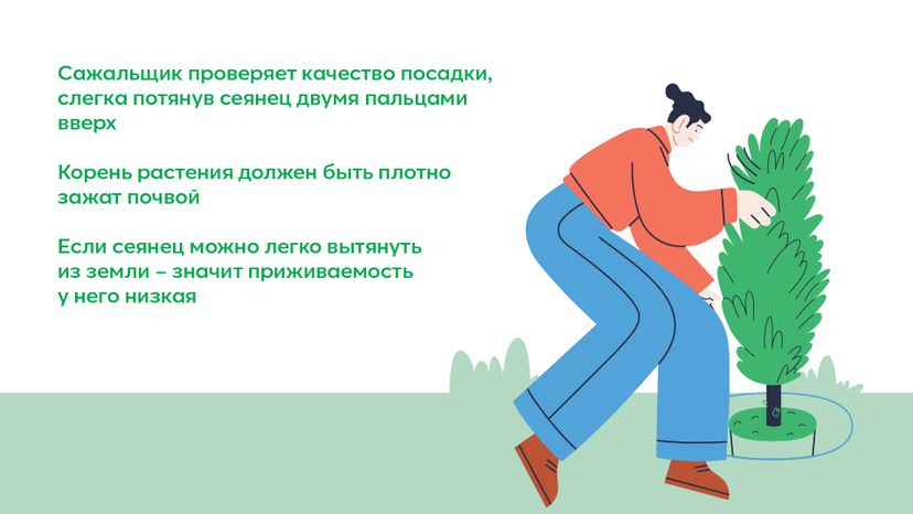Горизонталь_ меч Колесова_06-100.jpg