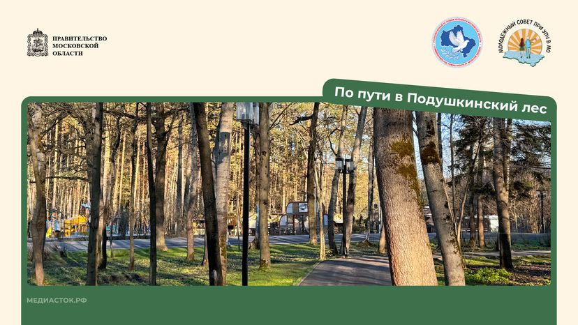 Путешествие по МО Одинцово горизонталь 04