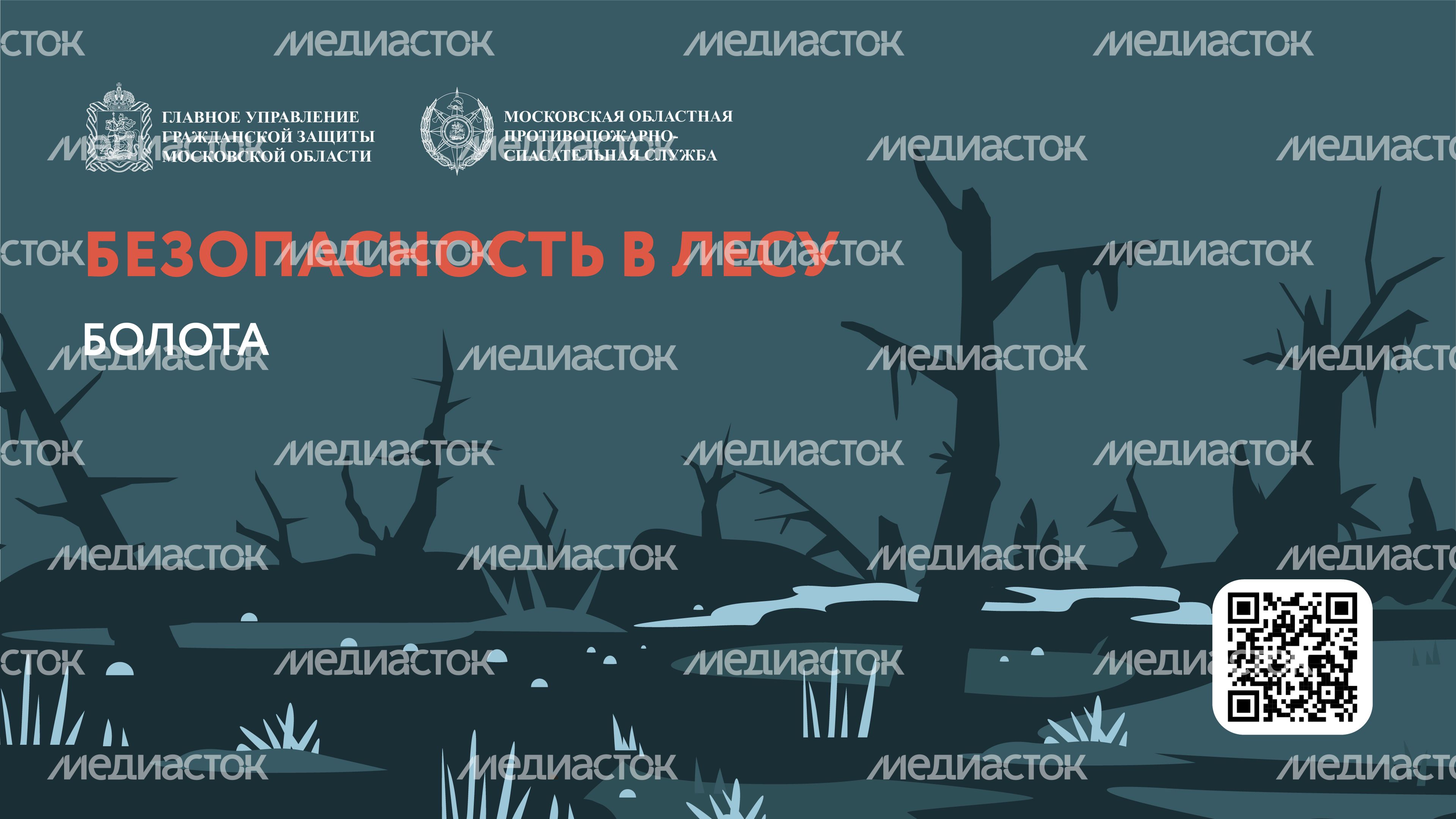 Болото-Горизонталь-01.jpg