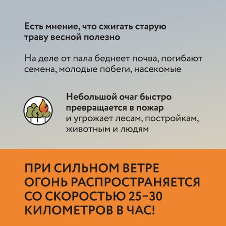 Пал травы
