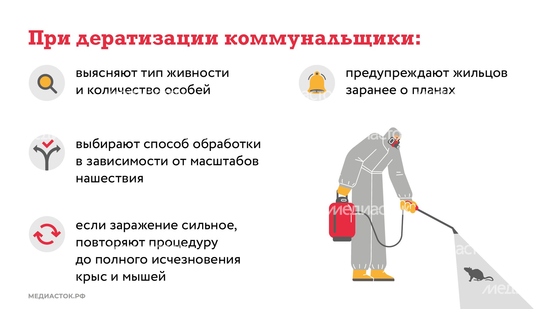 Крысы в МКД горизонталь (5) Крысы в МКД горизонталь (5)