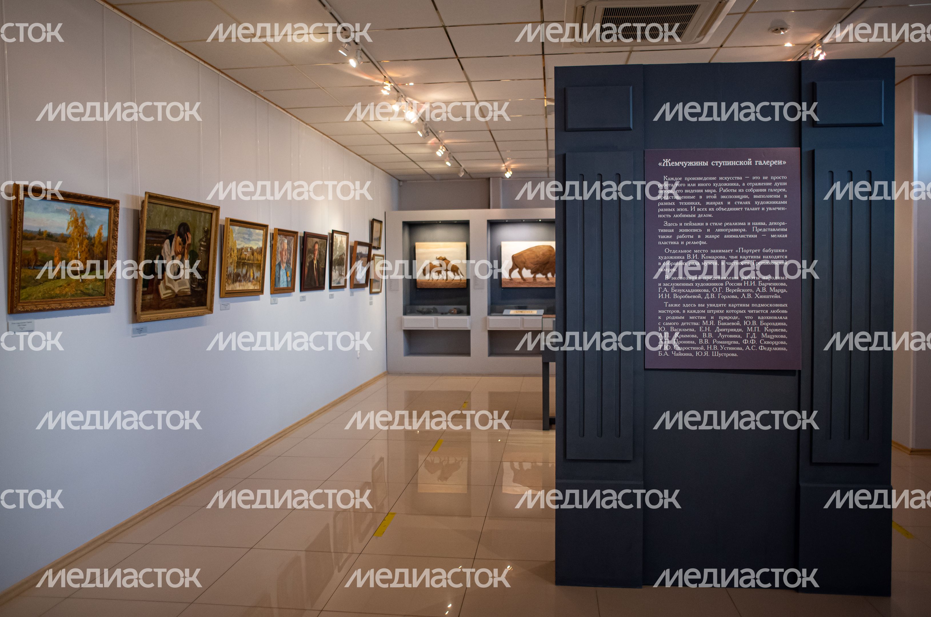 Ступинская художественная галерея «Ника» Ступинская художественная галерея «Ника»