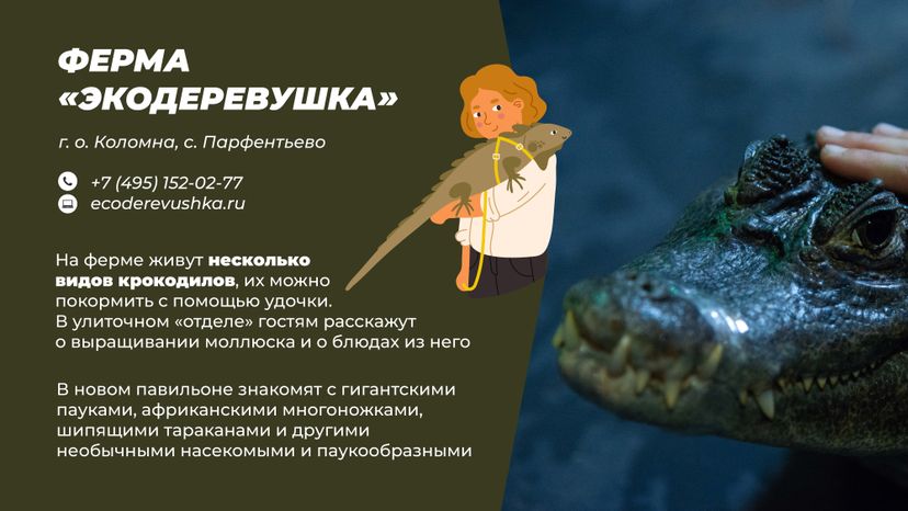 Фермы с животными
