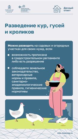 Дачный сезон штрафы-вертикаль-09