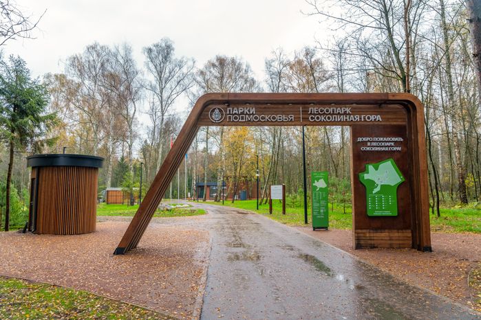 Новый лесопарк «Соколиная гора» в Истре осенью